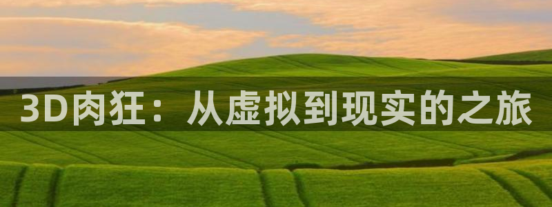 omofun动漫软件下载免费版：3D肉狂：从虚拟到现实的之旅