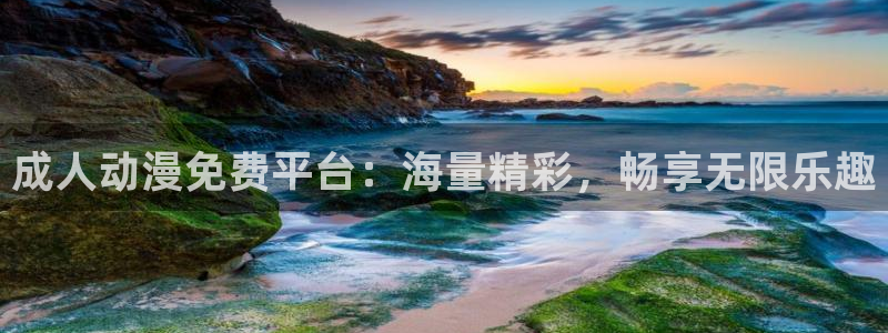 omofun在线观看：成人动漫免费平台：海量精彩，畅享无限乐趣